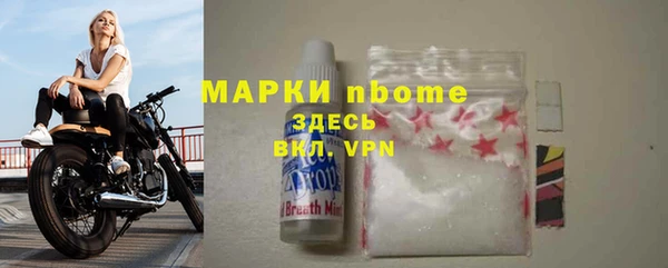 прущие грибы Кукмор