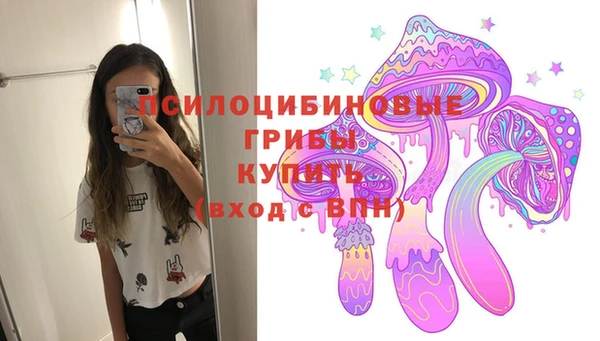 крисы Ладушкин