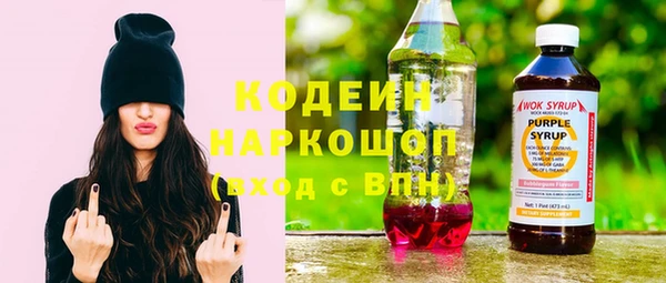 прущие грибы Кукмор