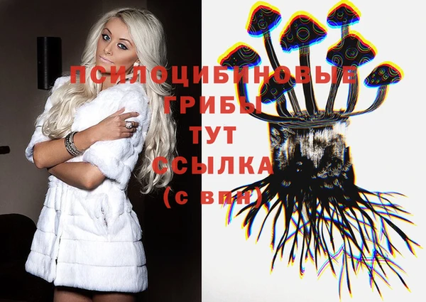 прущие грибы Кукмор