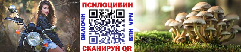 Галлюциногенные грибы мицелий  Купить где  Уссурийск 